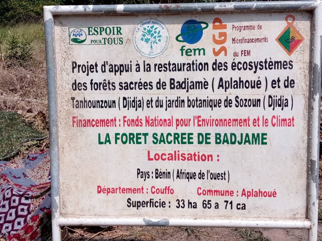 Forêt sacrée de Badjamè, vue 1
